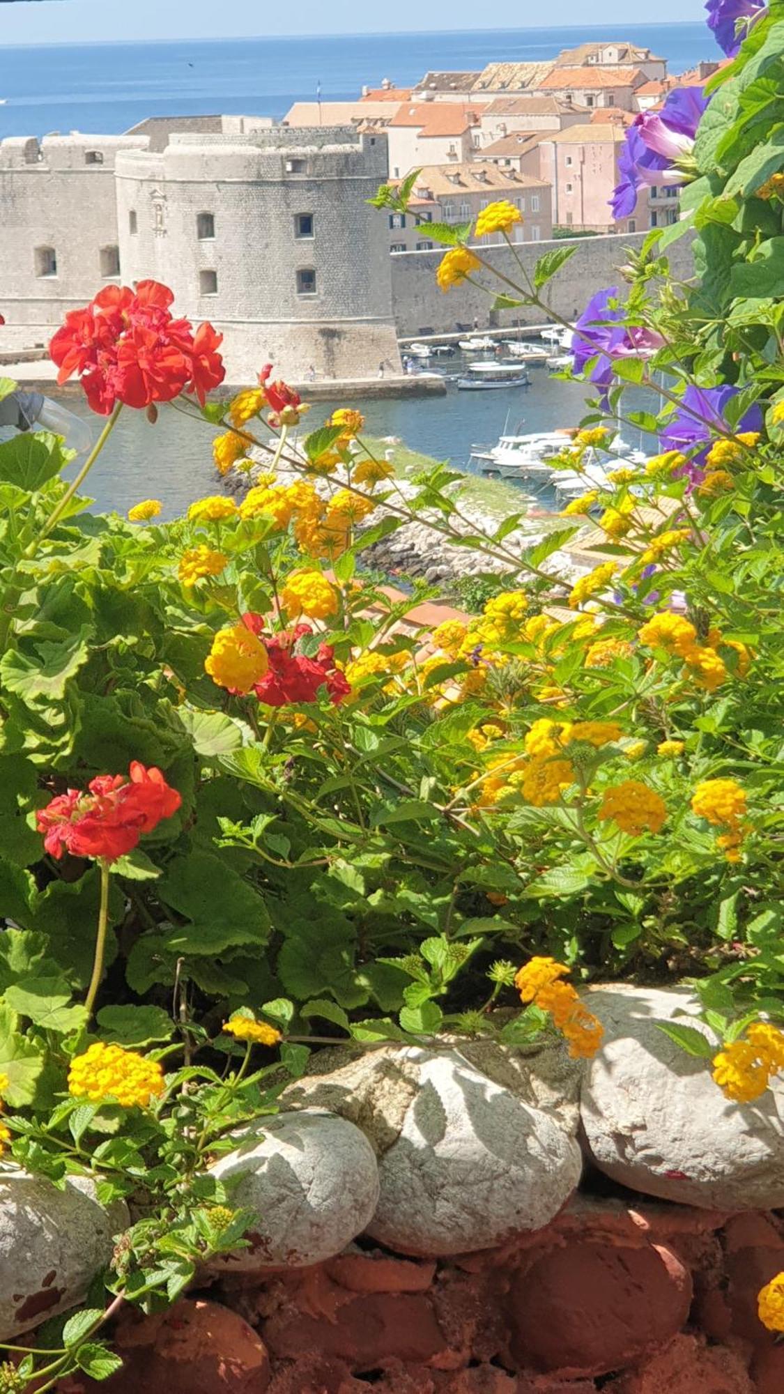 Garden Apartment Marina Dubrovnik Exteriör bild
